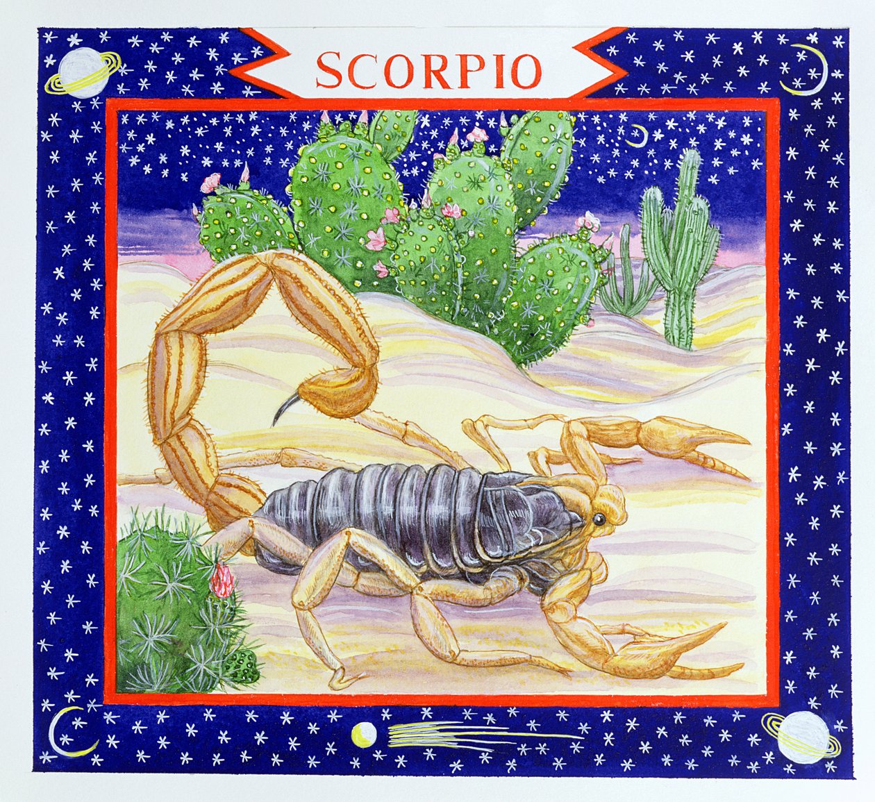 Skorpion (wc na papierze) autorstwa Catherine Bradbury