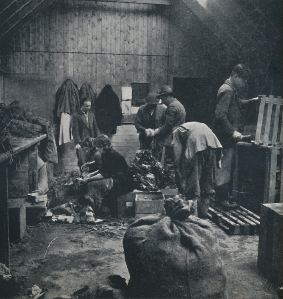 Warzywa na targ, 1941 autorstwa Cecil Beaton
