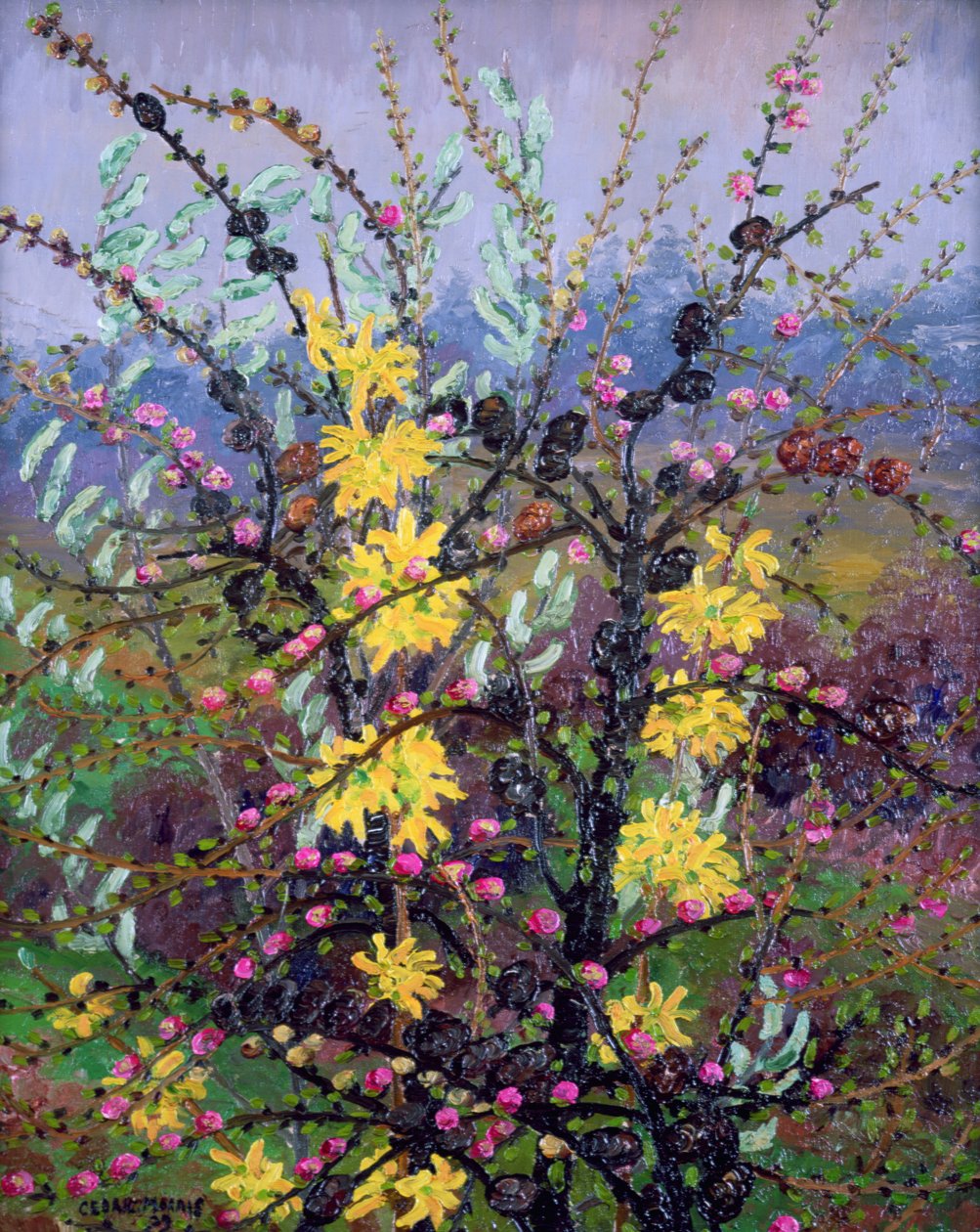 Krzewy (olej na płótnie) autorstwa Cedric Morris