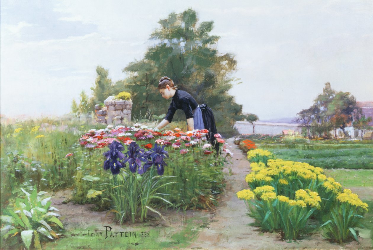 Ogród kwiatowy, 1888 autorstwa Cesar Pattein