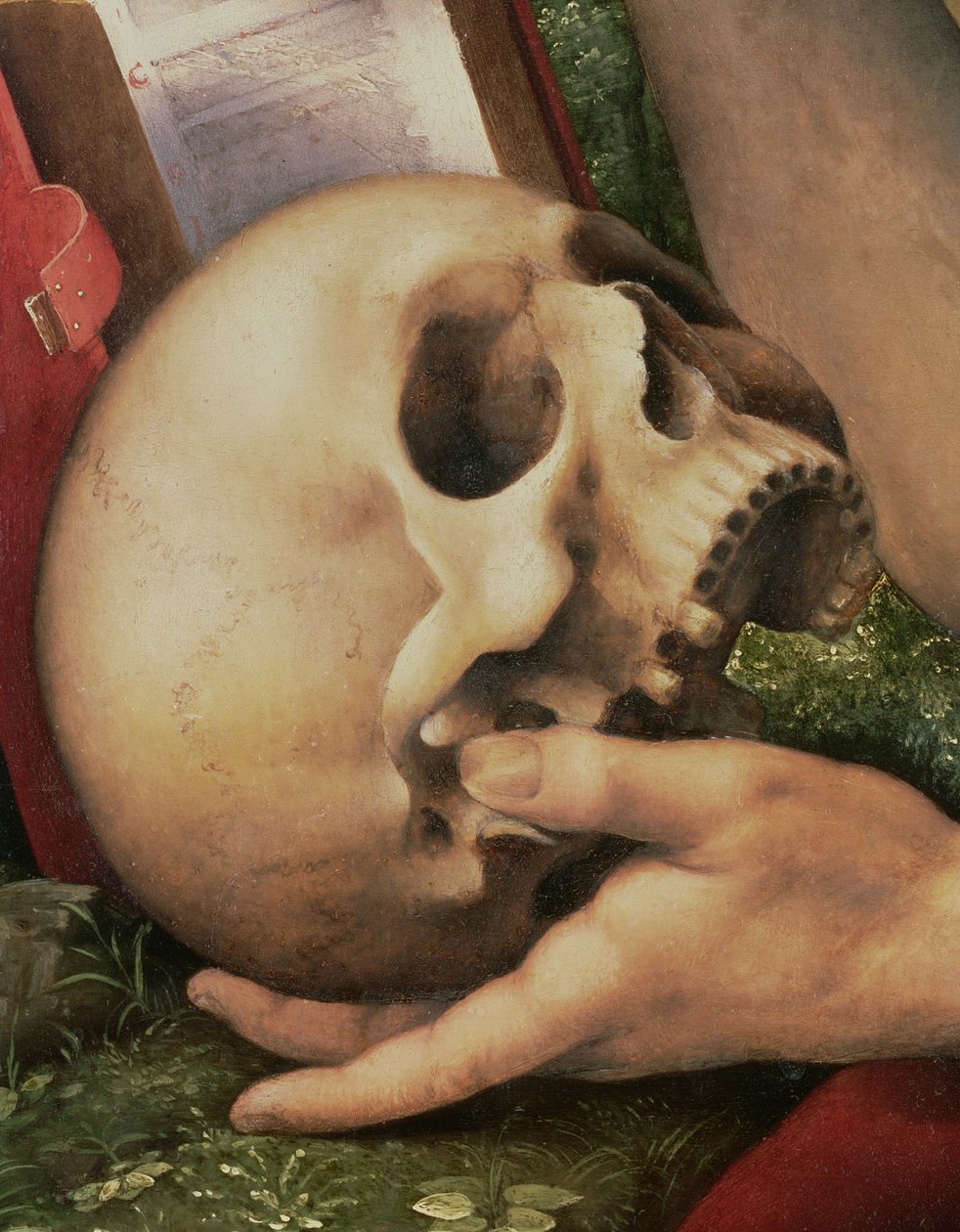 Św. Hieronim, fragment czaszki (detal z 112517) autorstwa Cesare da Sesto
