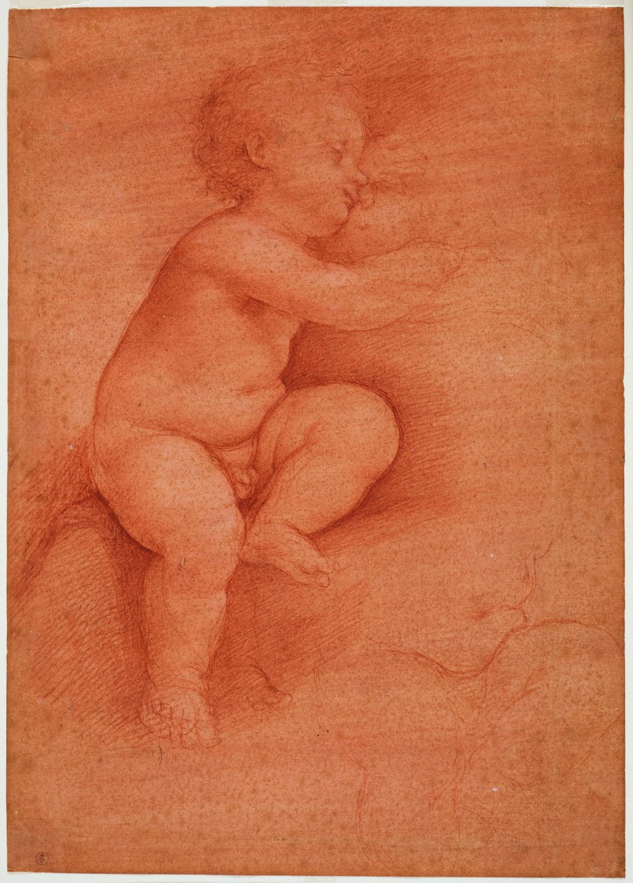 Studium putto (dzieciątko Jezus), początek XVI w. (krew na czerwonym papierze preparowanym) autorstwa Cesare da Sesto