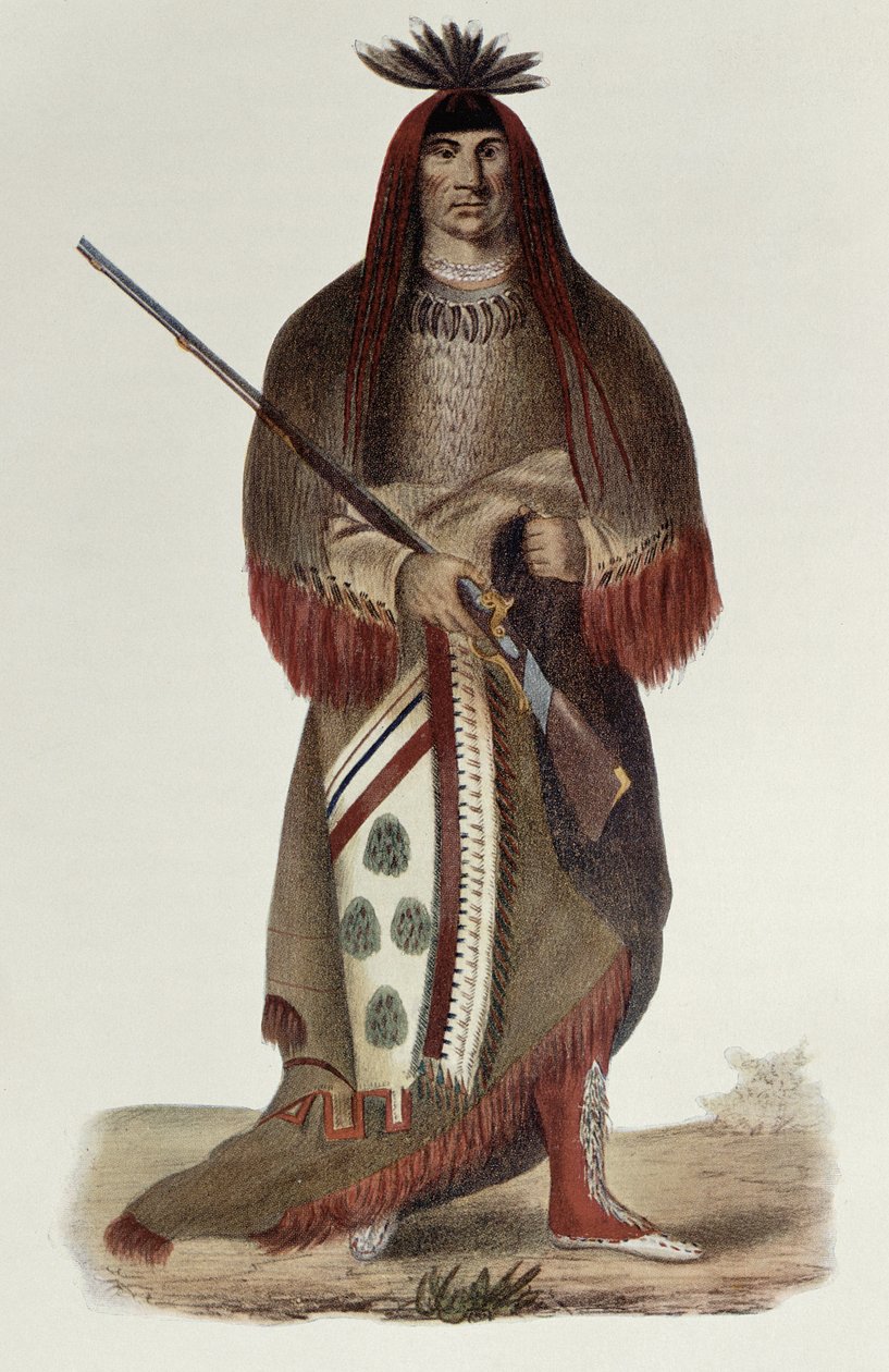 Wa-Na-Ta lub „The Charger”, wielki wódz Indian Siuksów lub Dakota, namalowany w 1926 r., ilustracja z „Indiańskich plemion Ameryki Północnej, tom 1”, Thomasa L. McKenneya i Jamesa Halla, wyd. przez Johna G autorstwa Charles Bird King