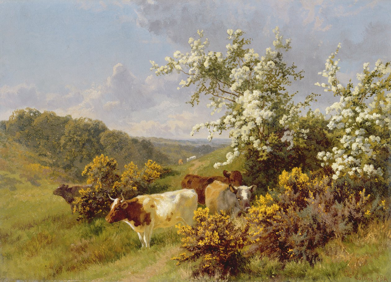 Może zakwitnąć autorstwa Charles Collins