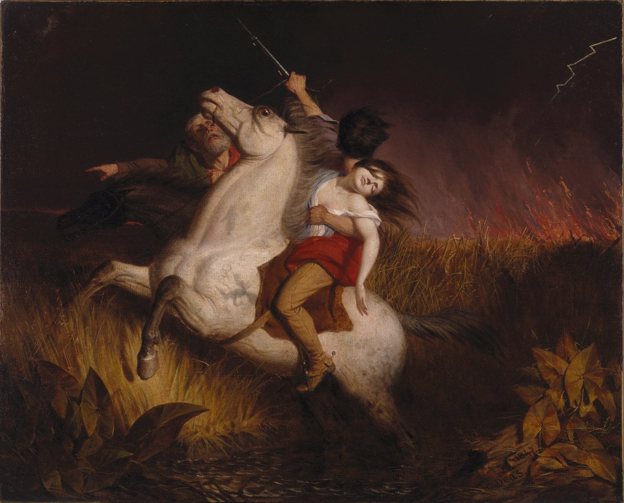 Preria w ogniu autorstwa Charles Deas