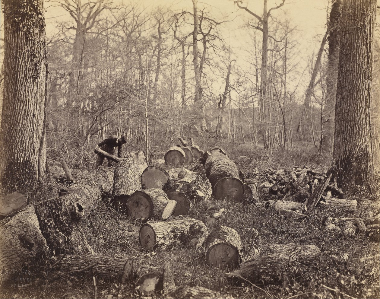Las Fontainebleau autorstwa Charles Famin