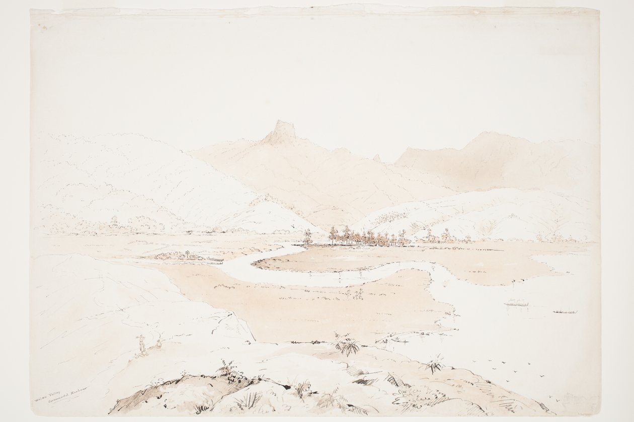 Port Coromandel w dolinie Waiau autorstwa Charles Heaphy