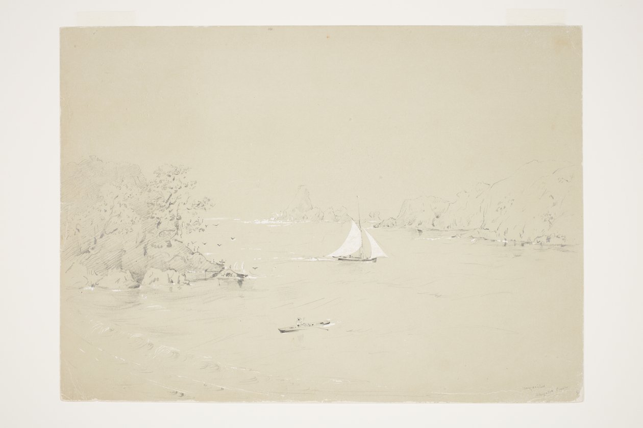 Wybrzeże Wangaaihu Wangaroa autorstwa Charles Heaphy