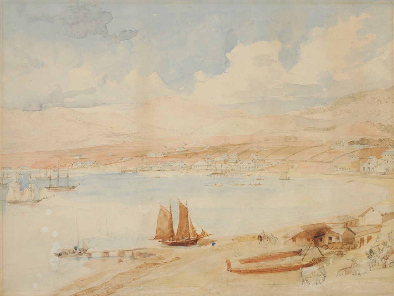 Port Wellington, N.Z. autorstwa Charles Heaphy