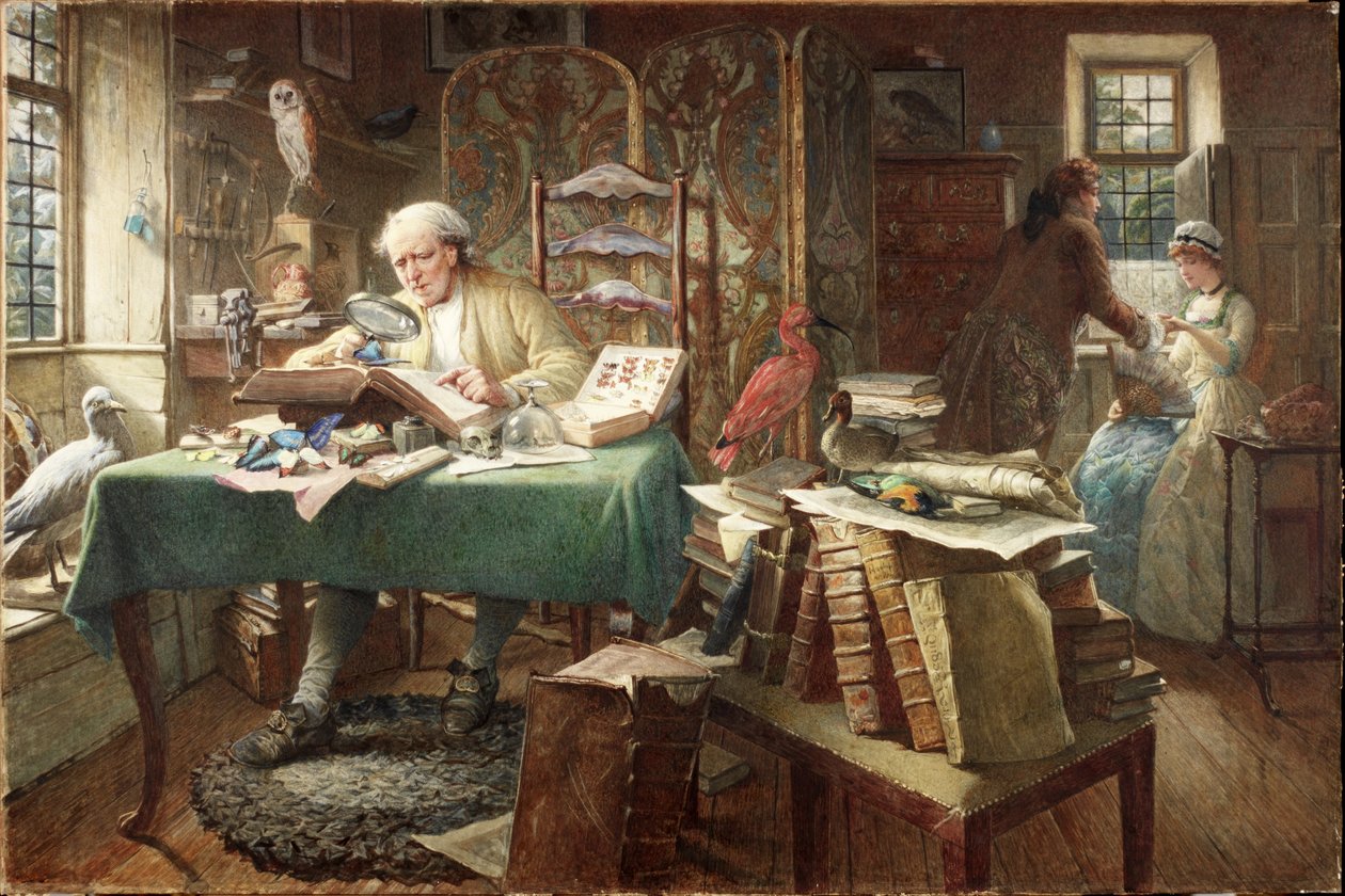 Robaki i Motyle (akwarela na papierze) autorstwa Charles J. Staniland