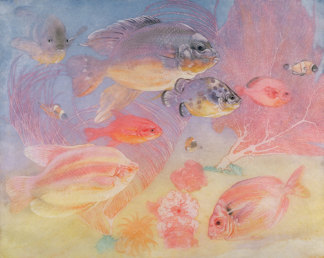 Tropikalna ryba autorstwa Charles Maurice Detmold