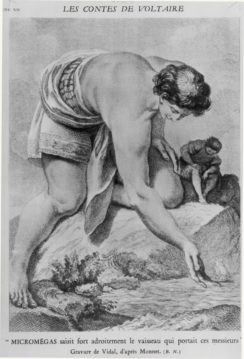 Жерар Видалийн (1742-1801) сийлбэрлэсэн Франсуа Мари Аруэ де Вольтерийн (1694-1778) "Лес Контес" зохиолоос "Микромегас эдгээр ноёдыг тээвэрлэж явсан хөлөг онгоцыг чадварлаг барьж авав". autorstwa Charles Monnet