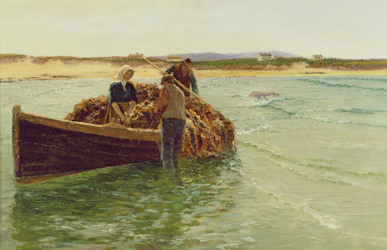 Rozładunek wodorostów chwastów autorstwa Charles William Bartlett