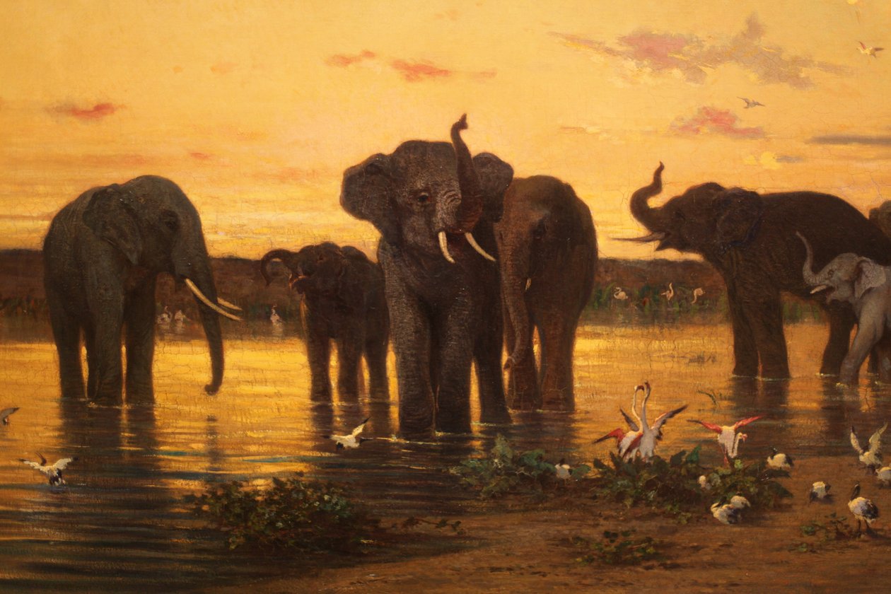 Słonie afrykańskie autorstwa Charles Émile de Tournemine