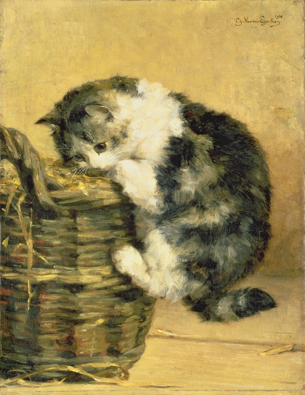 Kot z koszykiem autorstwa Charles van den Eycken