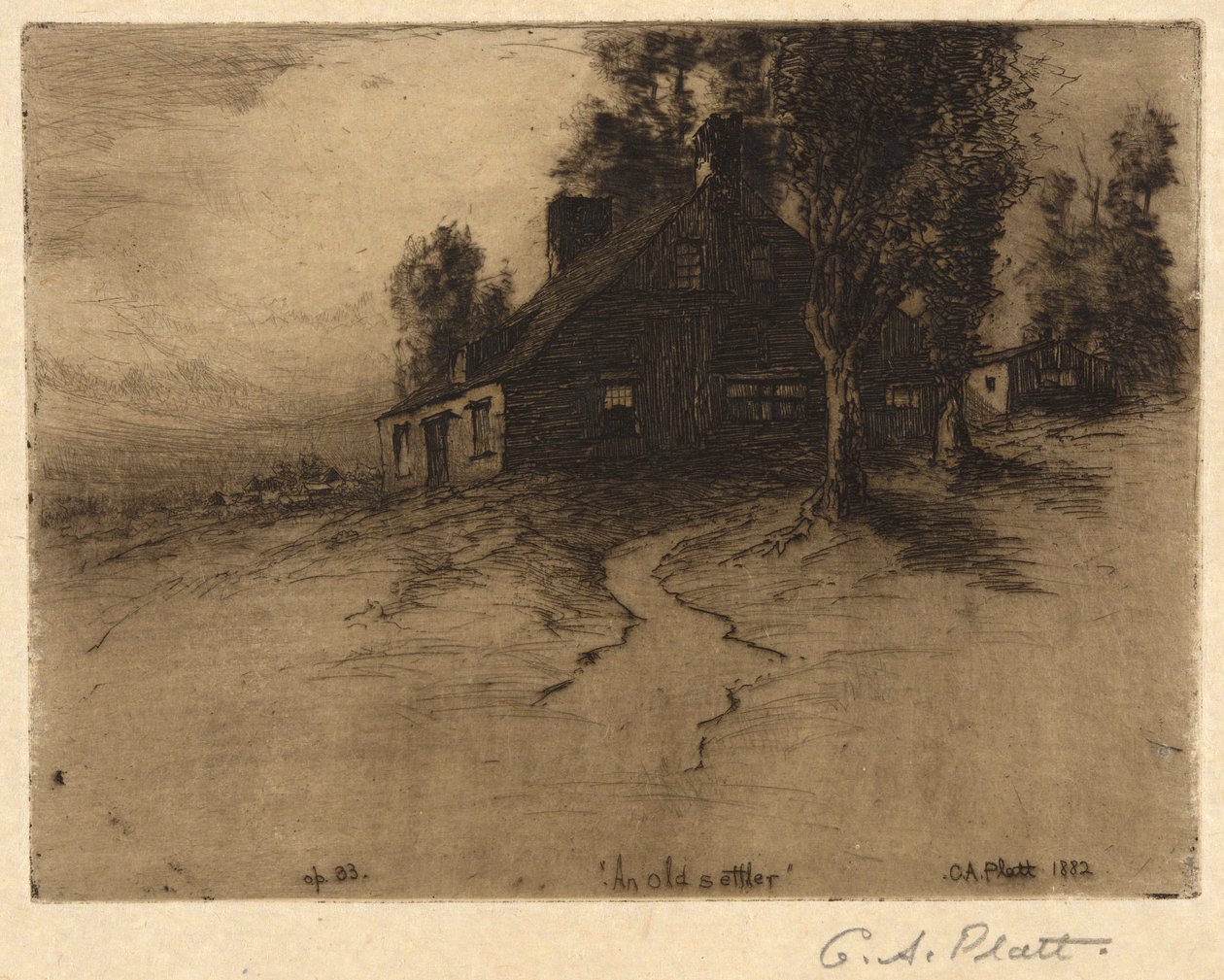 Stary osadnik autorstwa Charles A. Platt