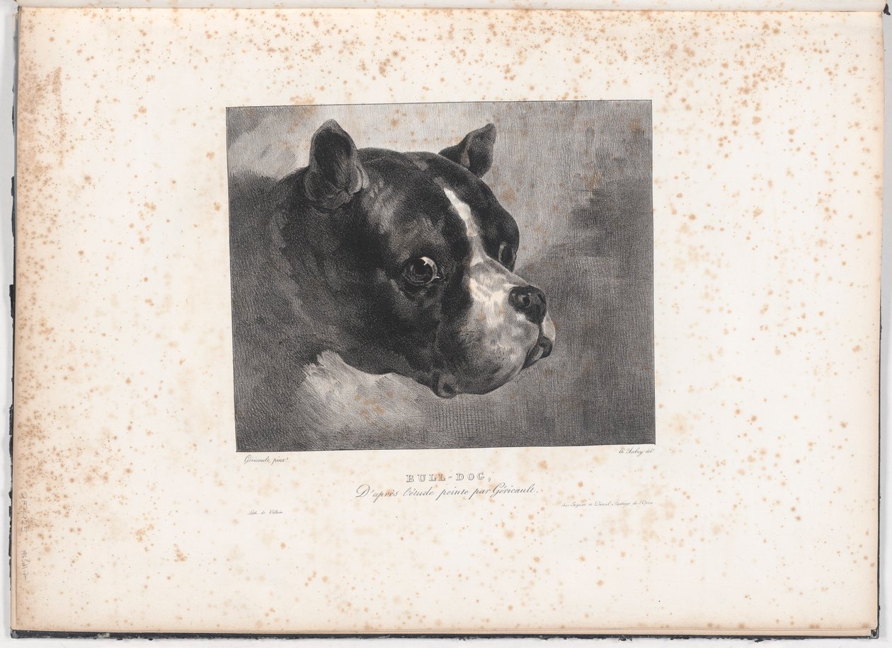 Buldog autorstwa Charles Aubry