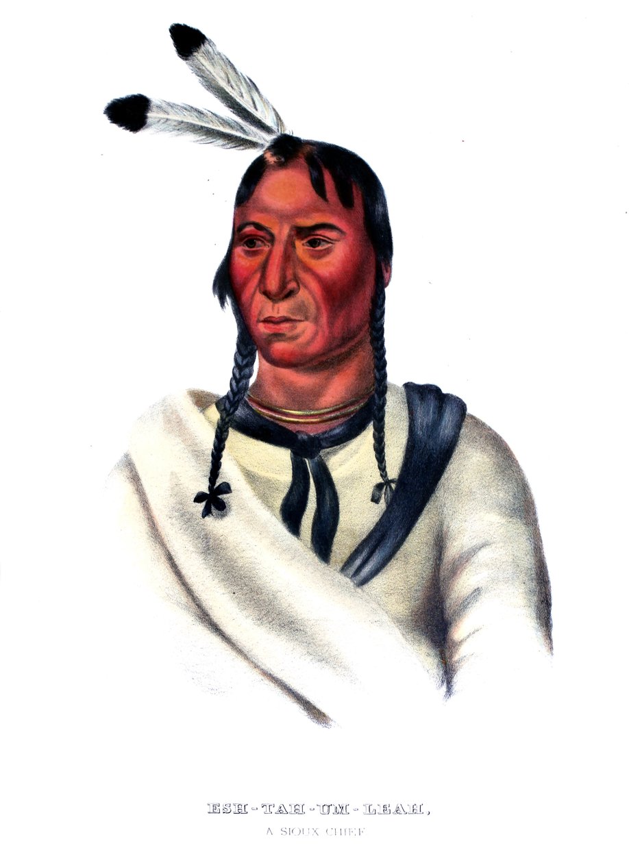 Eshtahumbah (Śpiące Oczy), wódz Siuksów autorstwa Charles Bird King