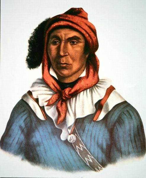 Julcee Mathla autorstwa Charles Bird King