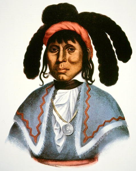 Micanopy (zm. 1849) c.1826 (kolor lito) autorstwa Charles Bird King