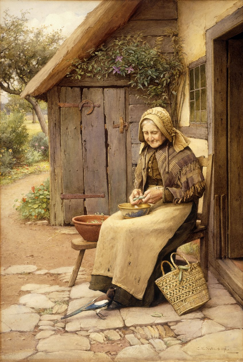 Drobnoopierzony przyjaciel (w/c na papierze) autorstwa Charles Edward Wilson