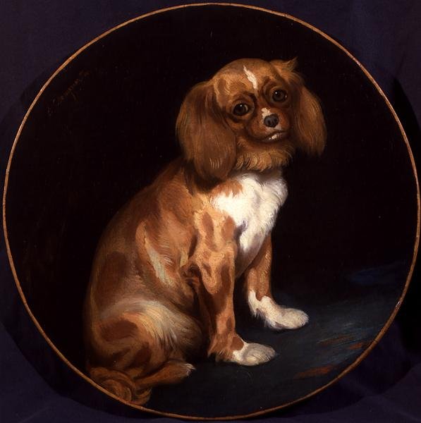 King Charles Spaniel autorstwa Charles Emile Callande de Champmartin