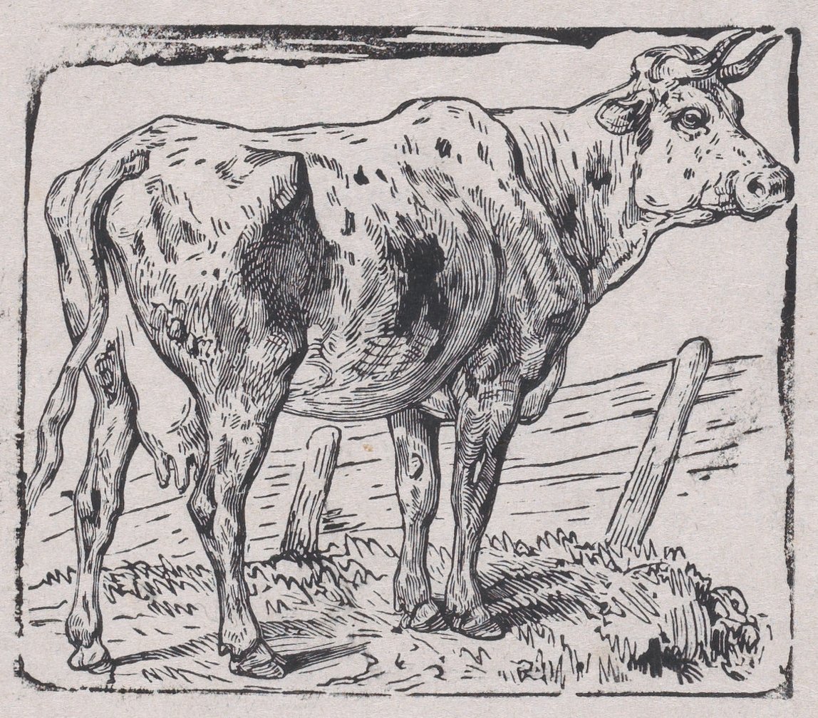 Krowa, ca. 1853. autorstwa Charles Emile Jacque