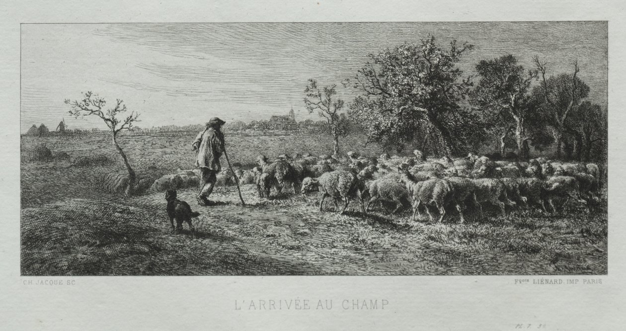 Przybycie na pole autorstwa Charles Emile Jacque