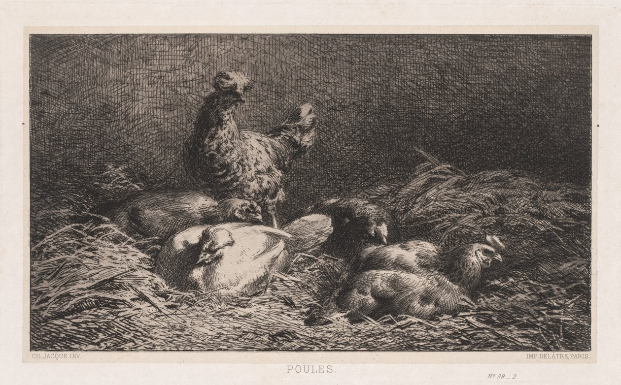 Kurczaki autorstwa Charles Emile Jacque