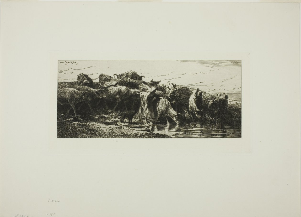 Krowy pijące z rzeki autorstwa Charles Emile Jacque