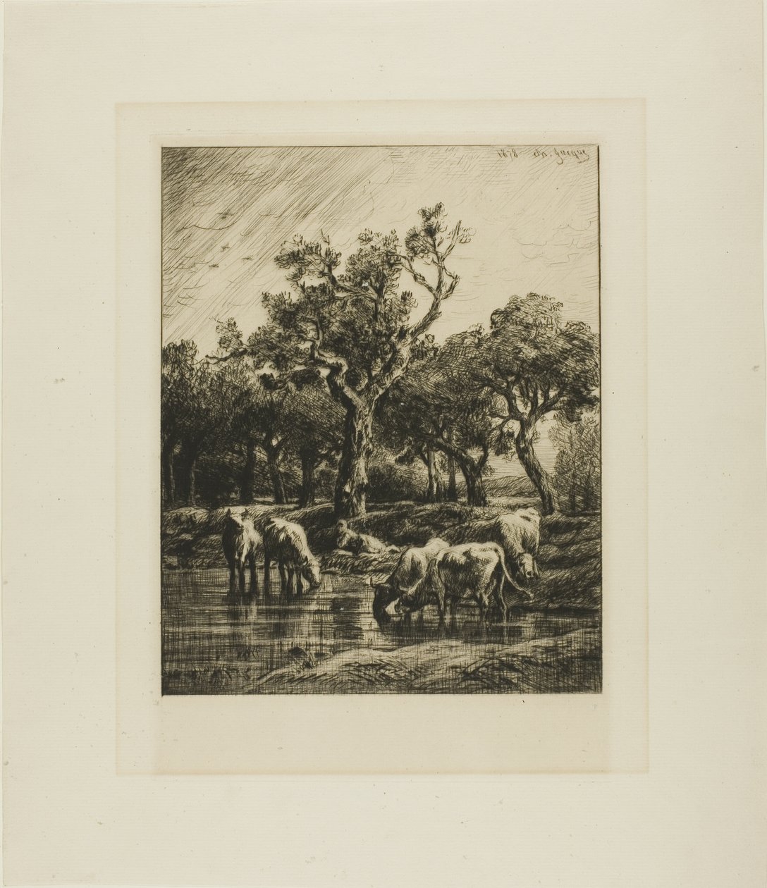 Krowy w wodopoju autorstwa Charles Emile Jacque