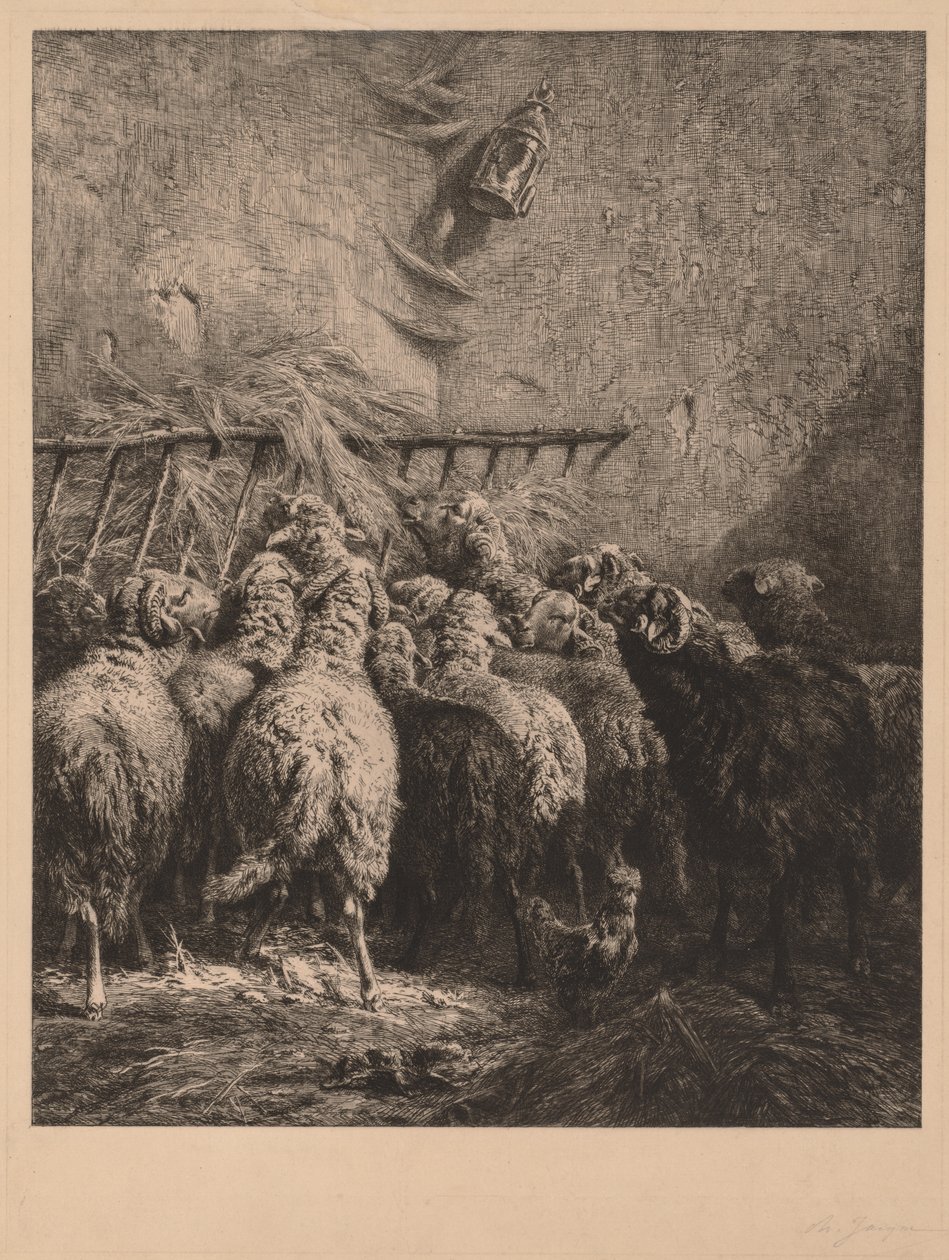 Wnętrze zagrody dla owiec. autorstwa Charles Emile Jacque