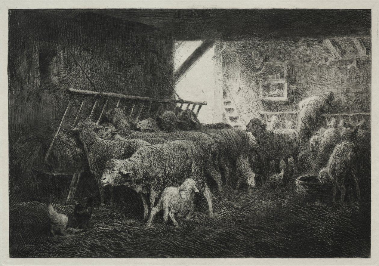 Wnętrze zagrody dla owiec autorstwa Charles Emile Jacque