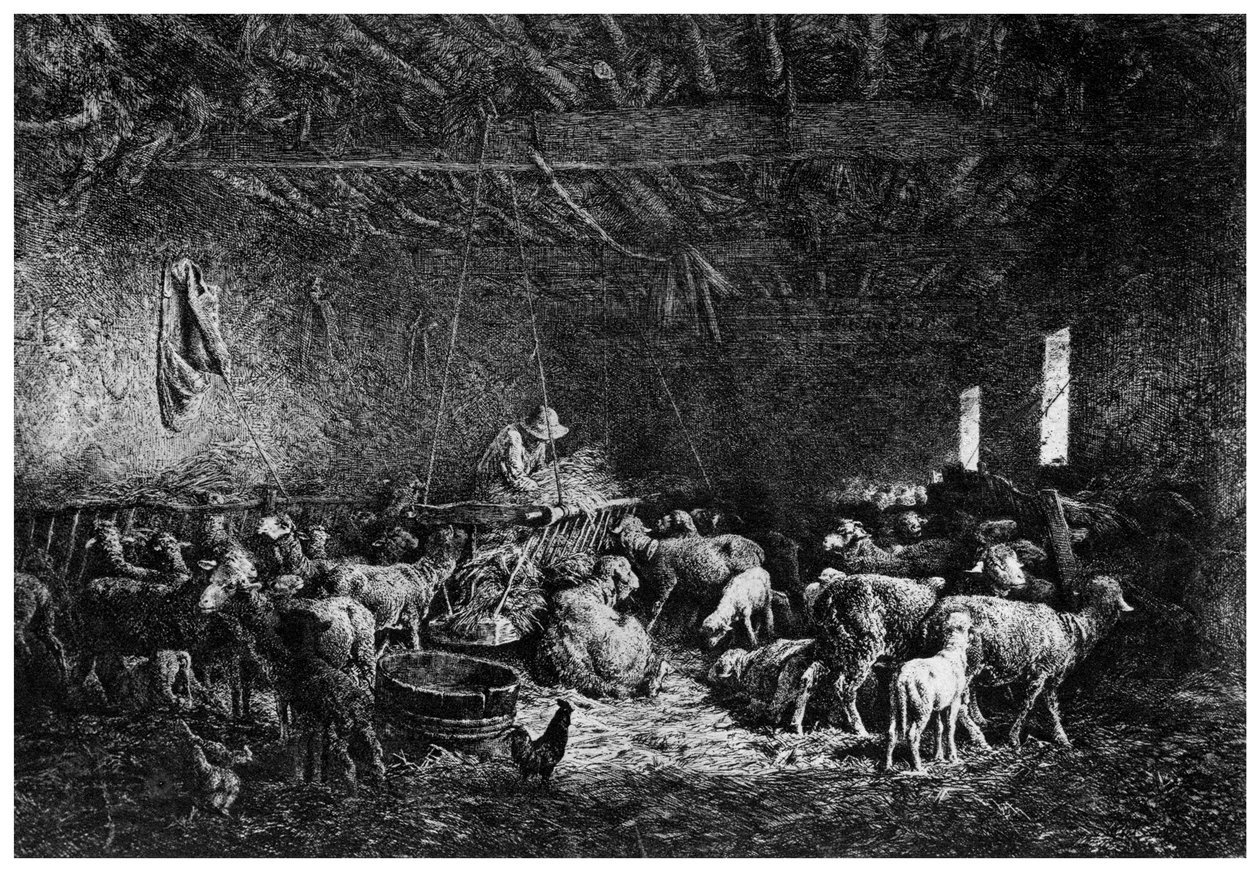 La Bergerie, Pasterz, 1825-1890 1924. autorstwa Charles Emile Jacque