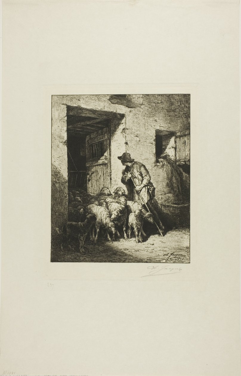 Wypuszczanie owiec autorstwa Charles Emile Jacque