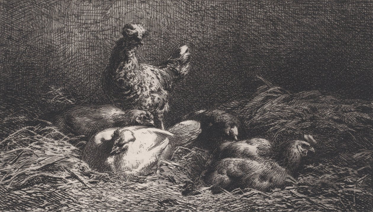 Kury, 1867. autorstwa Charles Emile Jacque