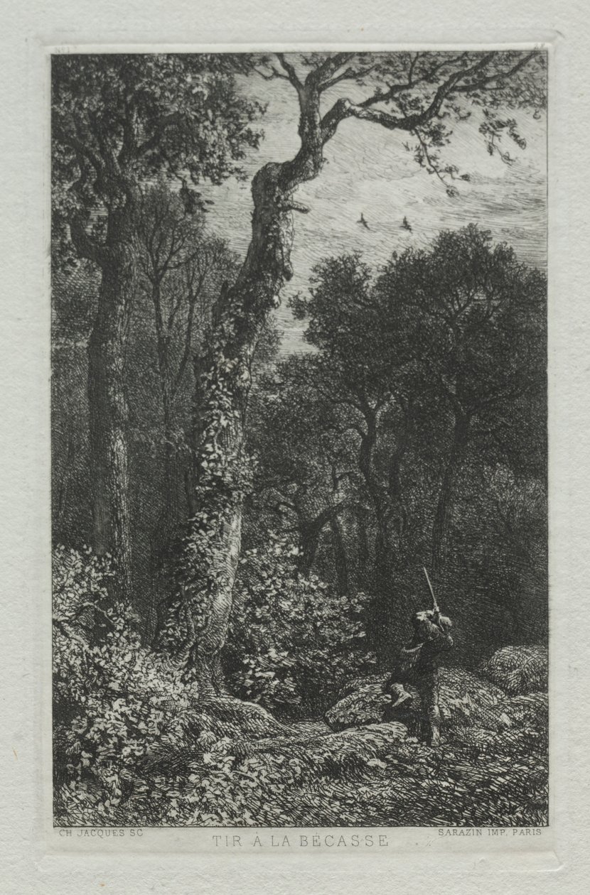 Strzelanie do słonki. autorstwa Charles Emile Jacque