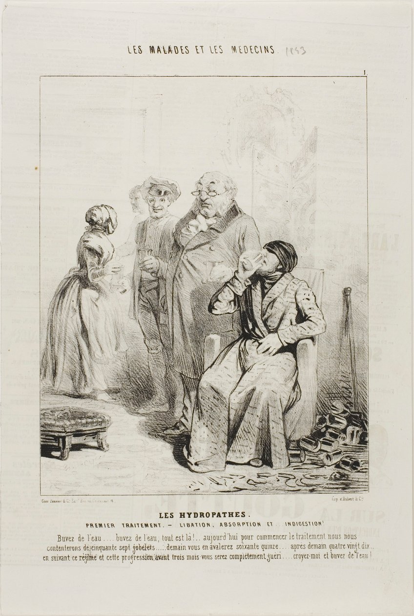 Hydropaty: pierwsze leczenie (płyta 1) autorstwa Charles Emile Jacque