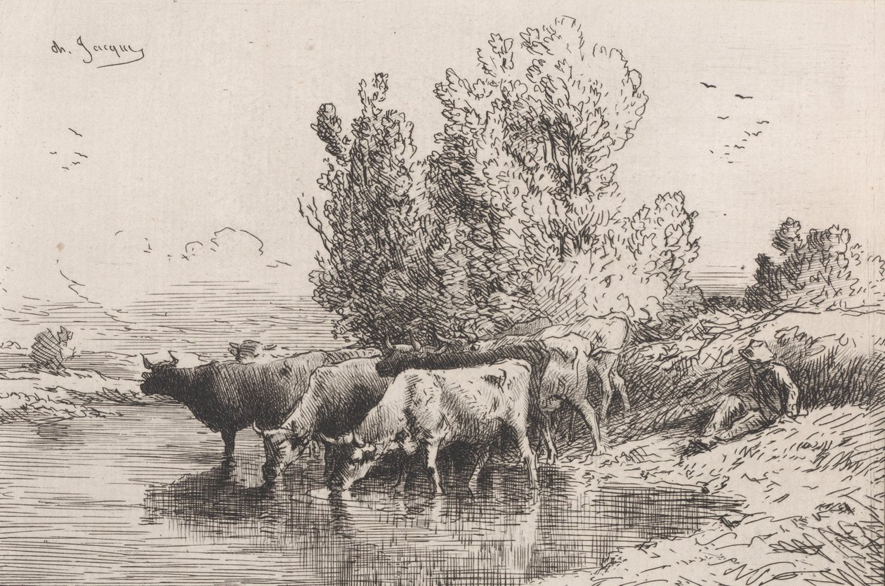 Koryta, 1864. autorstwa Charles Emile Jacque