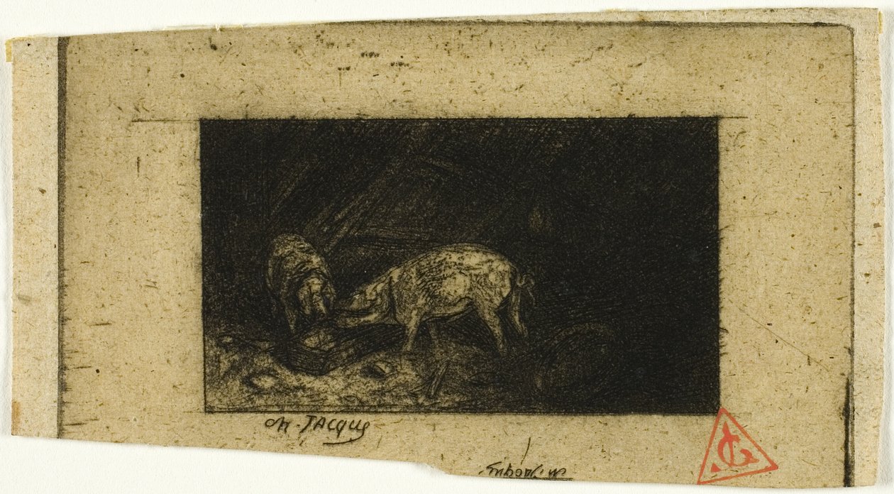Dwie świnie jedzące z koryta autorstwa Charles Emile Jacque