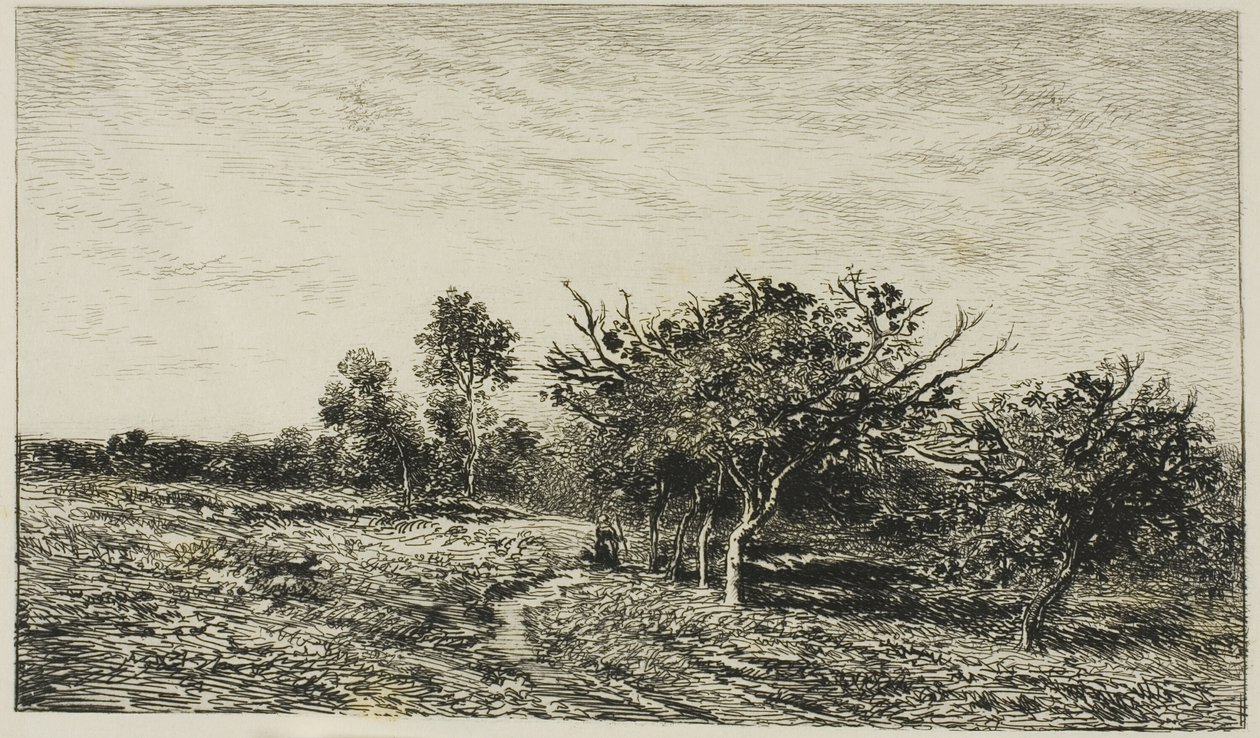 Jabłonie w Auvers autorstwa Charles Francois Daubigny