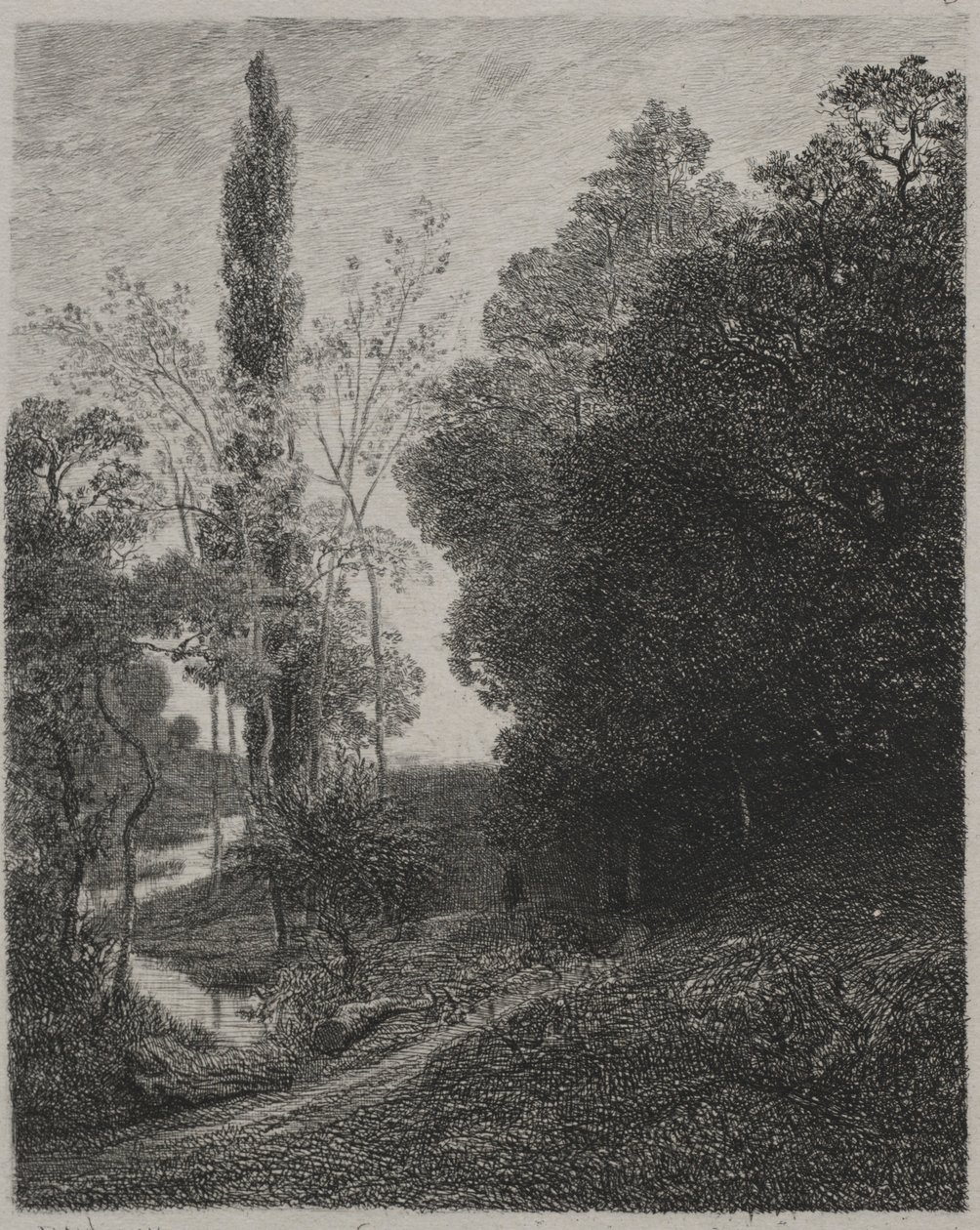 Brzegi rzeki kuzyn, 1850. autorstwa Charles Francois Daubigny