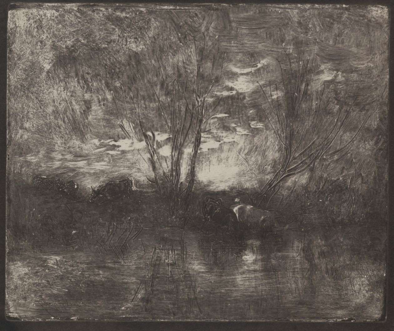 Krowy w wodopoju autorstwa Charles Francois Daubigny