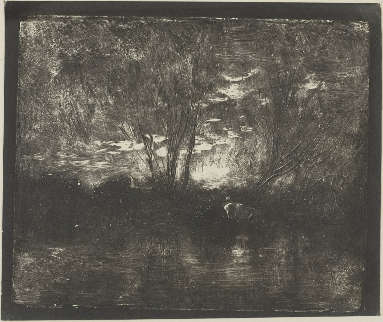 Krowy w wodopoju autorstwa Charles Francois Daubigny