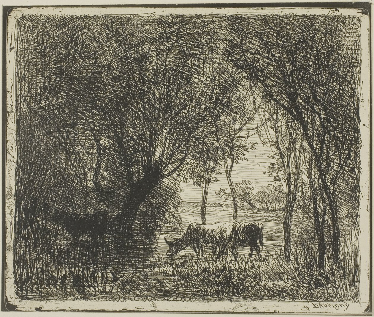 Krowy w lesie autorstwa Charles Francois Daubigny