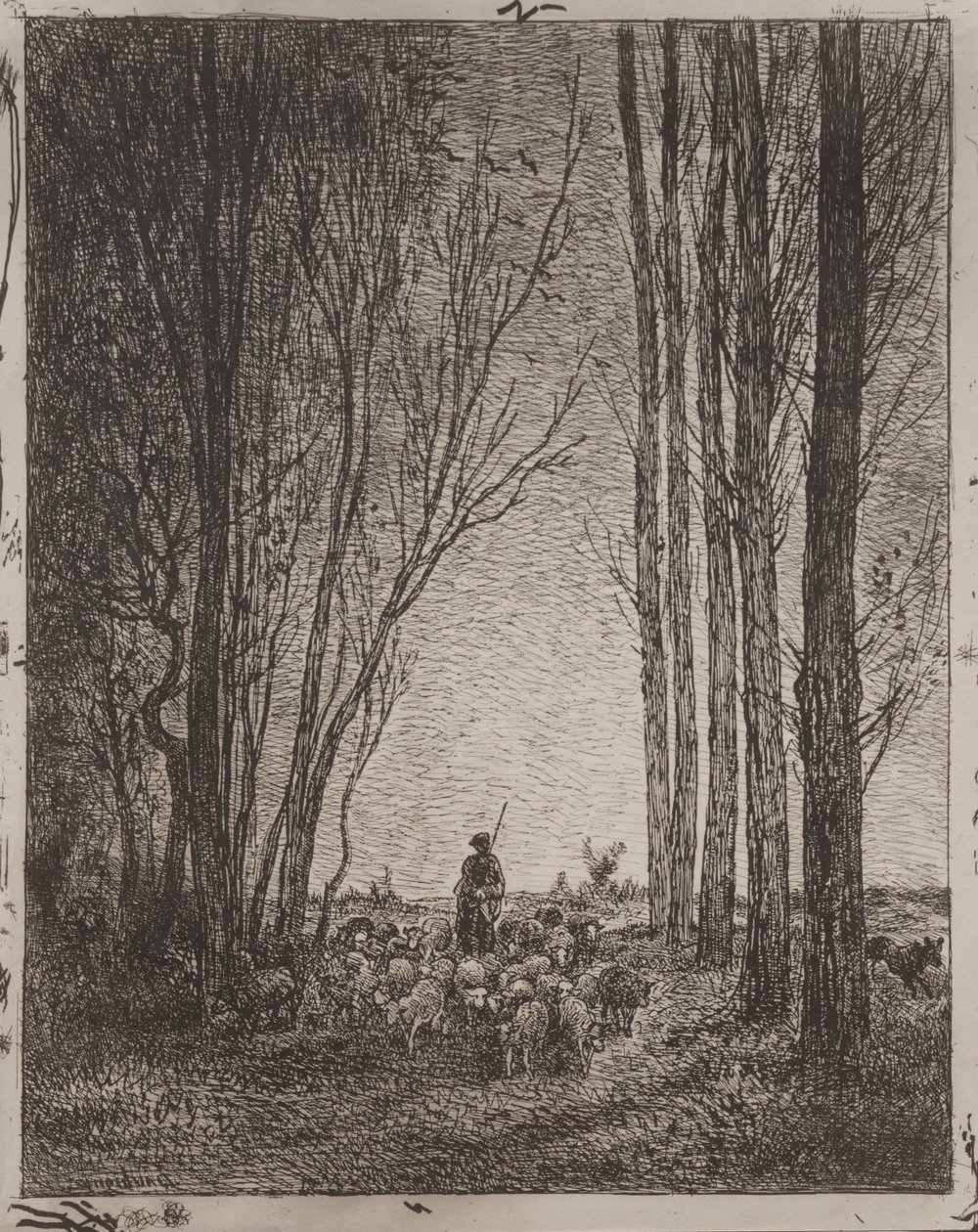 Gromadzenie się w Stadzie autorstwa Charles Francois Daubigny