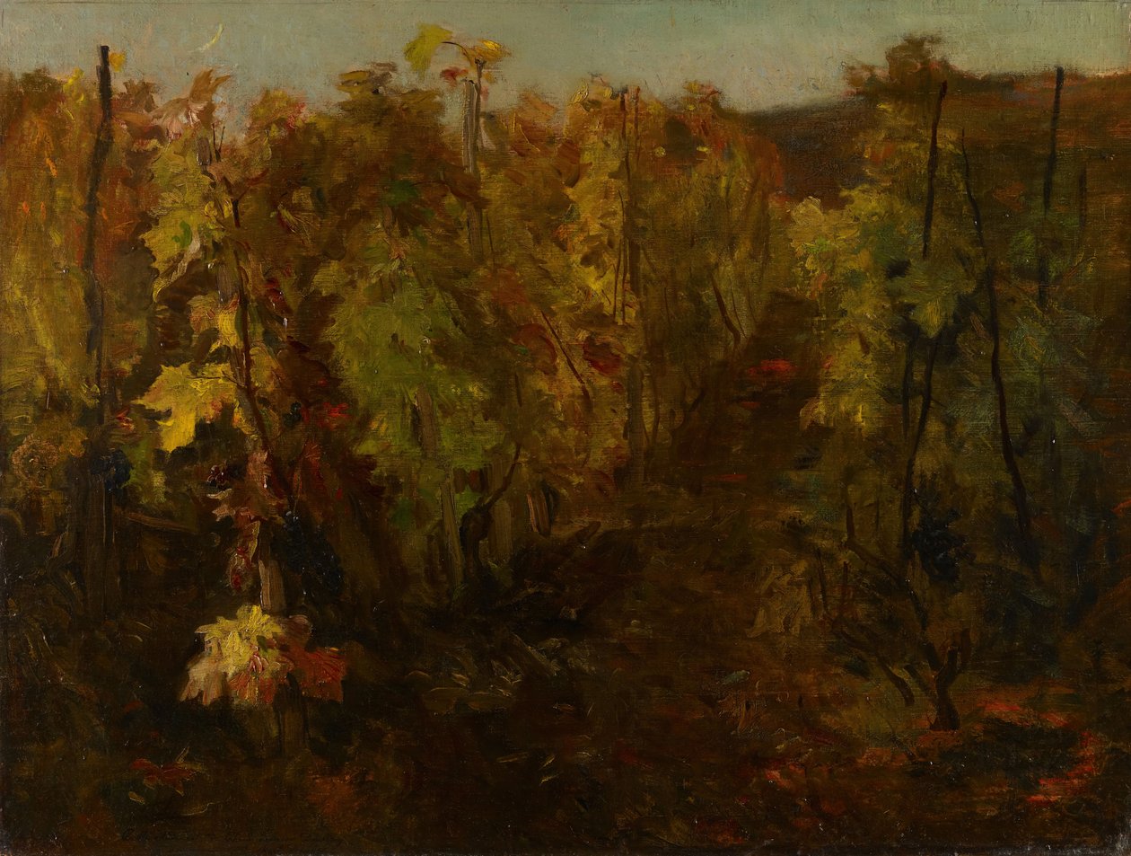 Winorośli, 1860-1863. autorstwa Charles Francois Daubigny