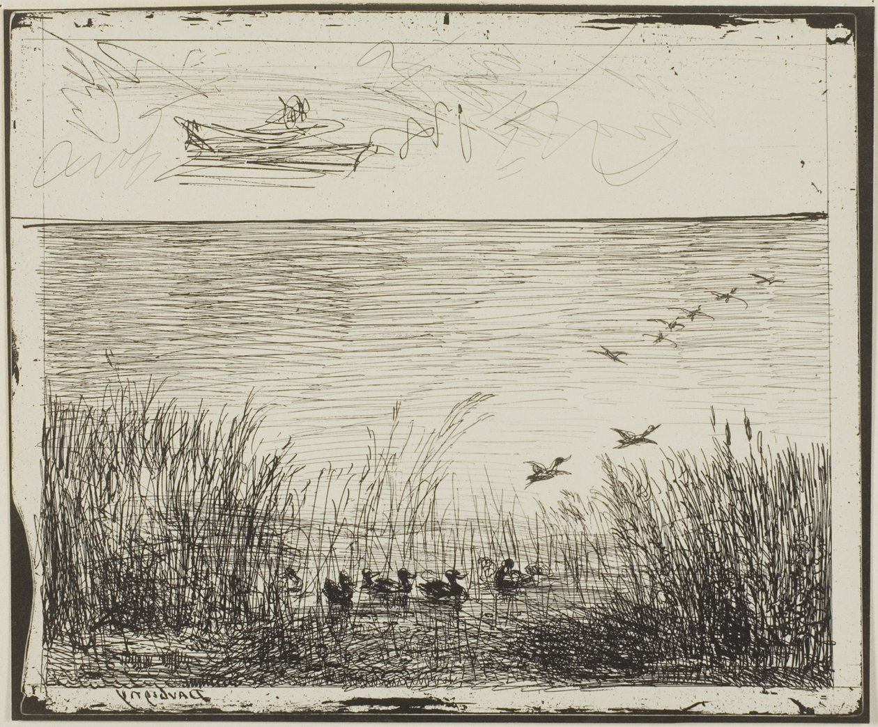 Bagno z Kaczkami autorstwa Charles Francois Daubigny