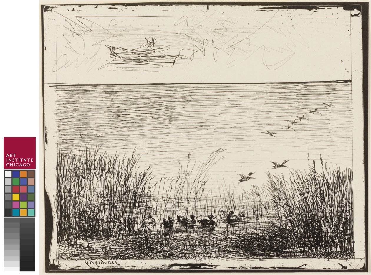 Bagno z kaczkami, 1862 autorstwa Charles Francois Daubigny