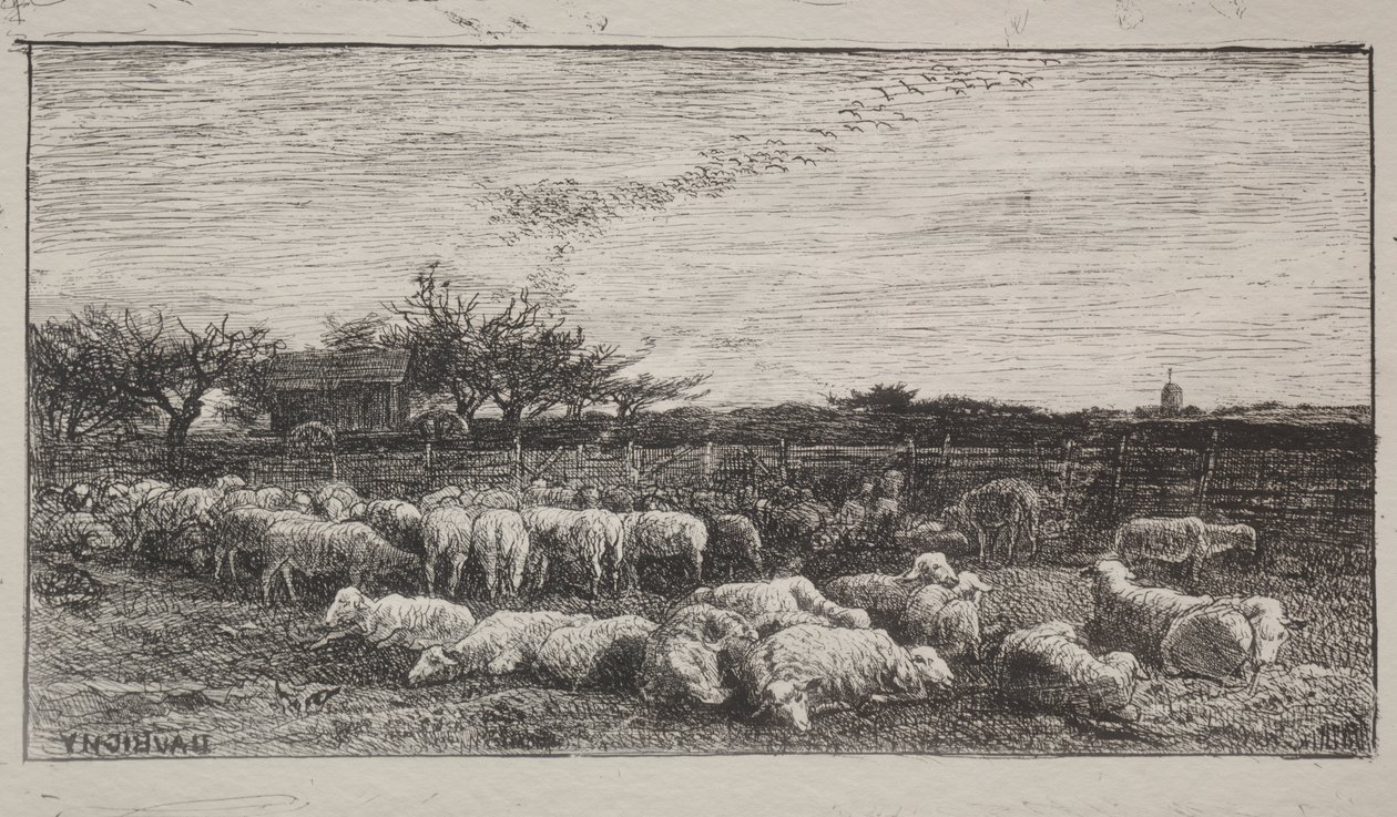 Duża owczarnia autorstwa Charles Francois Daubigny